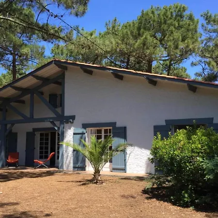 Hébergement de vacances Semaphore Au Cap Ferret - Ref 197 *